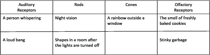 Match the stimuli to the sensory auditory receptors that respond to them-example-1