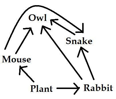 Which organism is a teriary consumer in this ecosystem-example-1