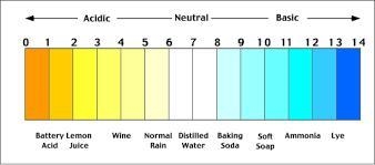 Which substance would most neutralize an acidic food? dairy (pH 5–7) water (pH 6–7) citrus-example-1