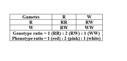 An organism has pink flowers because of the genotype RW. what will the phenotype ratio-example-1