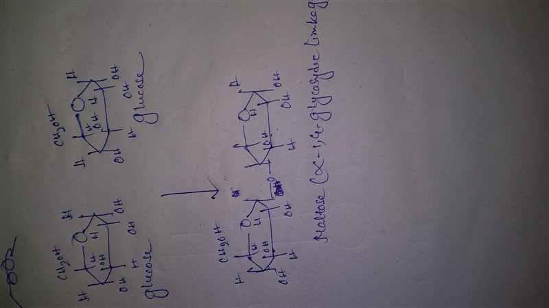 Which word equation summarizes the dehydration of a carbohydrate?-example-1