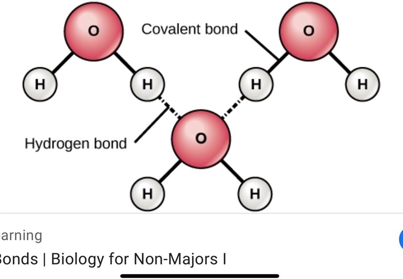 What kind of bond forms between the oxygen atoms of one water molecule and the hydrogen-example-1