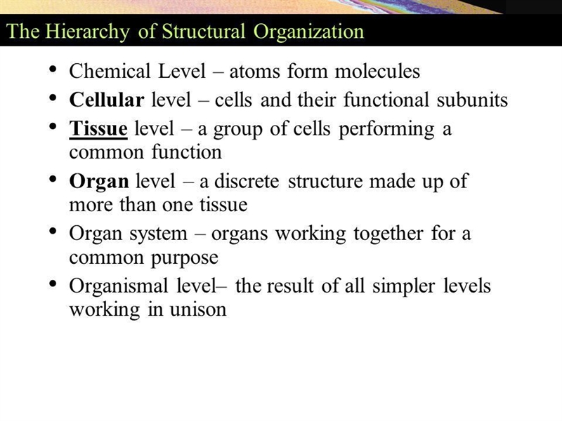 Help please!!! I give Brainliast please help Use a model (graphic organizer, analogy-example-2