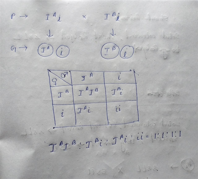 Please help!!!! very confused pt 2-example-1