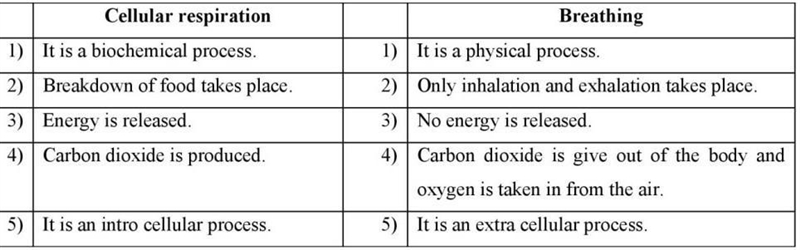 What is the difference between respiration and cellular respiration?-example-1