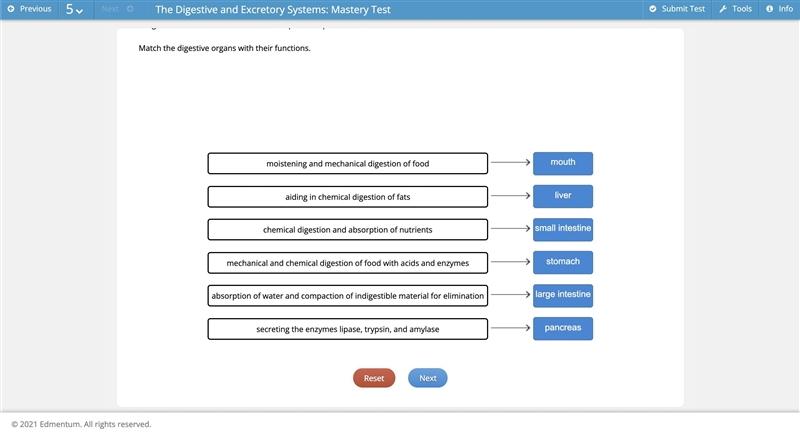 Pancreas small intestine mouth large intestine liver stomach moistening and mechanical-example-1