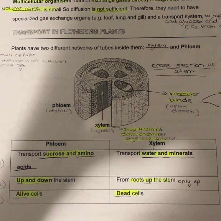 Three questions please help​-example-1