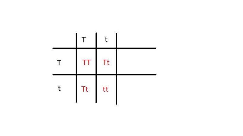 What are the possible outcomes of the following cross-example-1