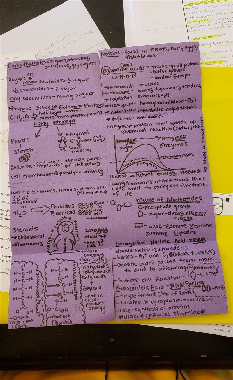 What are the building blocks of macromolecules?-example-2