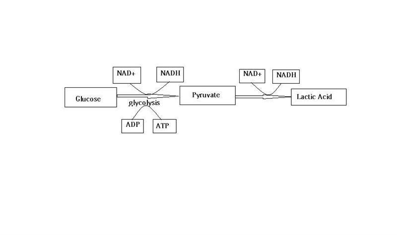 Drag the labels to the image. The labels can be used more than once, but not all labels-example-1