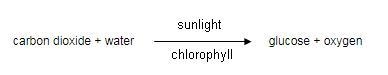 What does a plant need to create a glucose molecule in photosynthesis? A) carbon dioxide-example-1