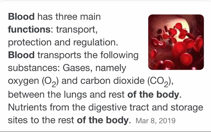 What are two functions performed by blood in the human body-example-1