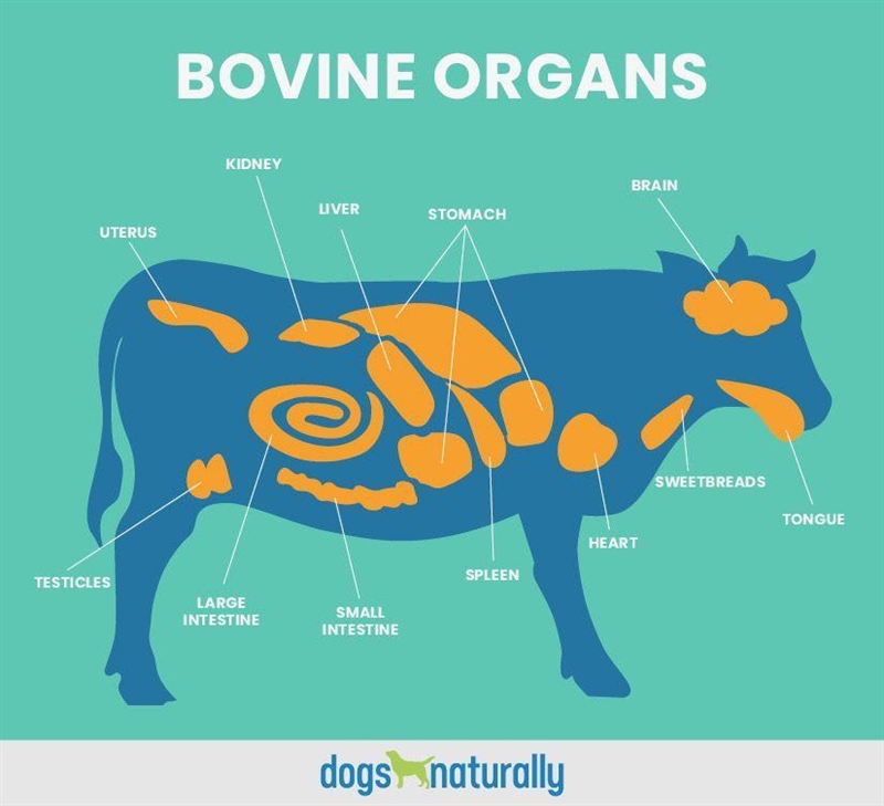 An example of an animal organ is the.... An example of a plant system is the... Thanks-example-1