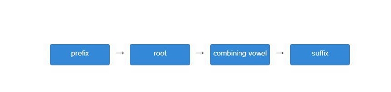 Organize the word parts according to where they appear in a medical term.-example-1