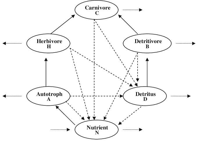 Food chain and food web model-example-2