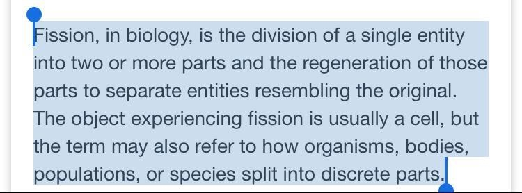 What is binary fission?-example-1