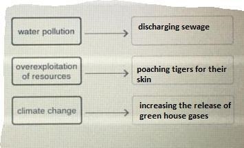 Match the activities with their ecological effects-example-1