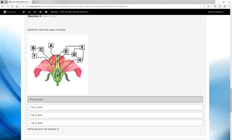 Identify the main floral organs of a flower-example-1