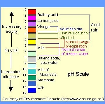 Which substance will cause litmus paper to turn red?-example-1