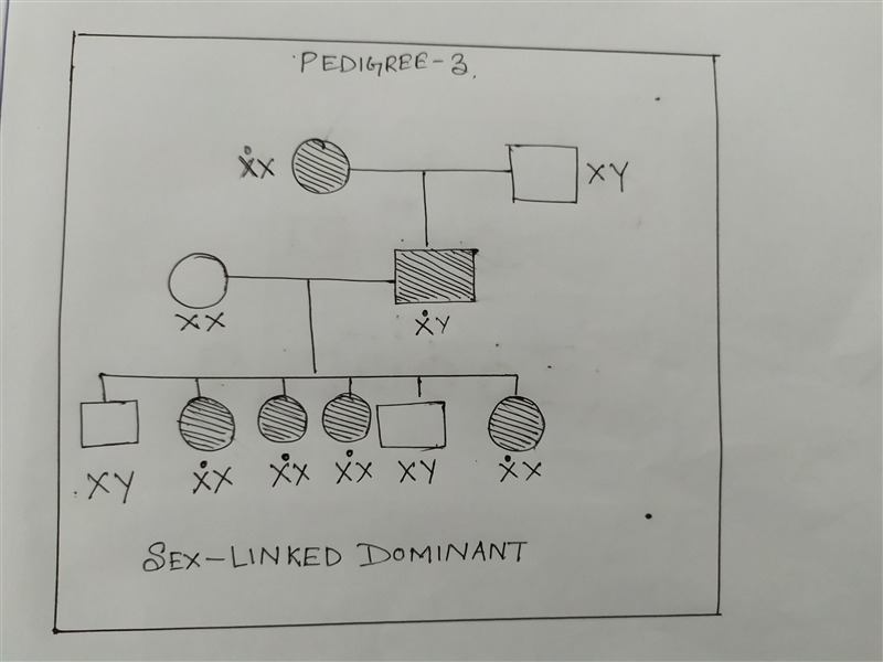 Match the pedigree to the correct type of inheritance.-example-3