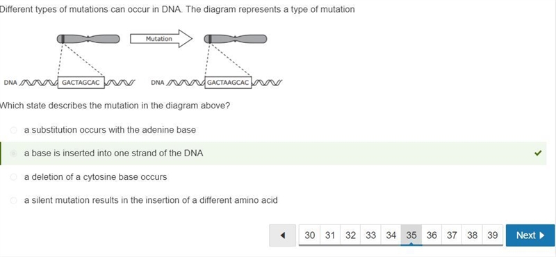 Different types of mutations can occur in DNA the diagram above represents a type-example-1