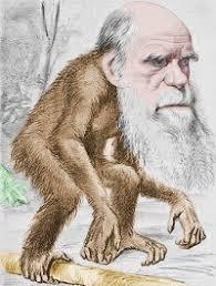 Who is Charles darwin? What were some of his contributions to the theory of evolution-example-1