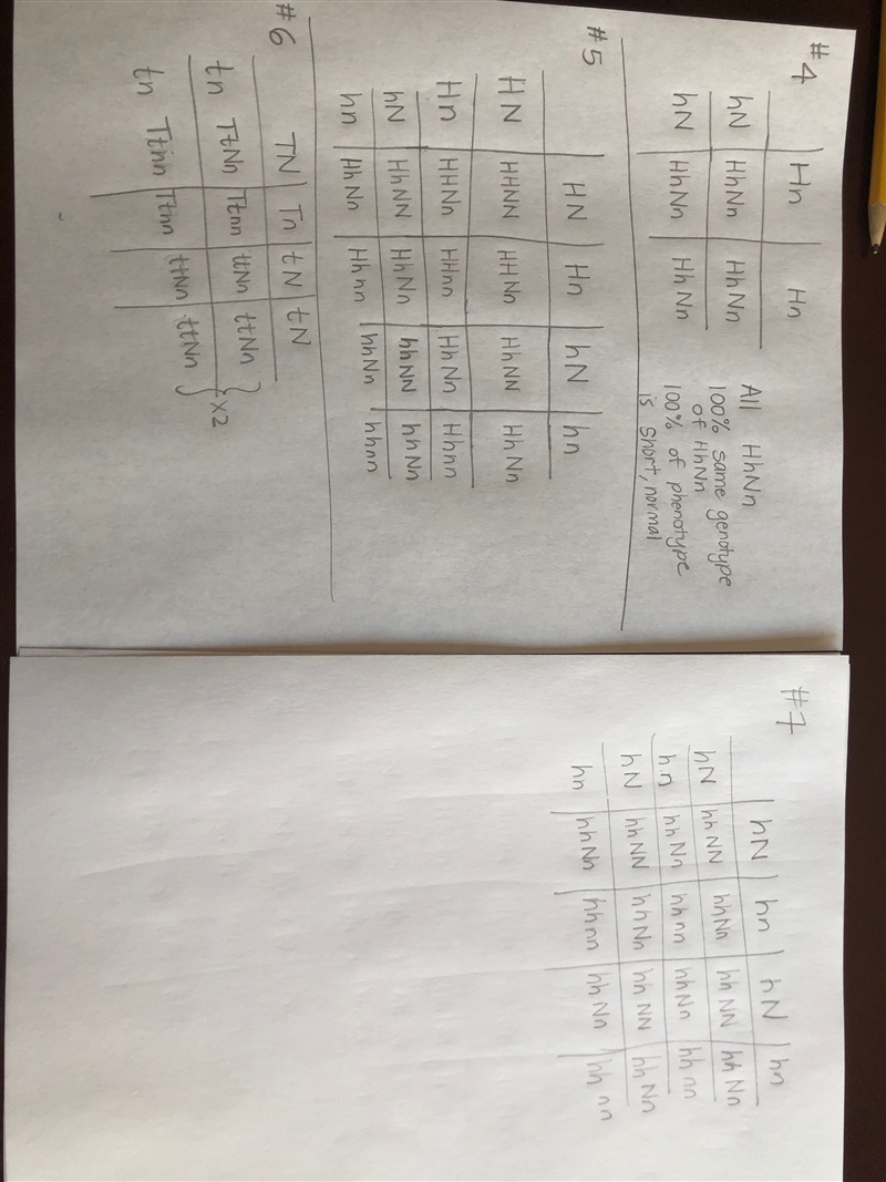 Can somebody help me with #s 4, 5, 6 and 7? I need to make punnett squares.-example-1