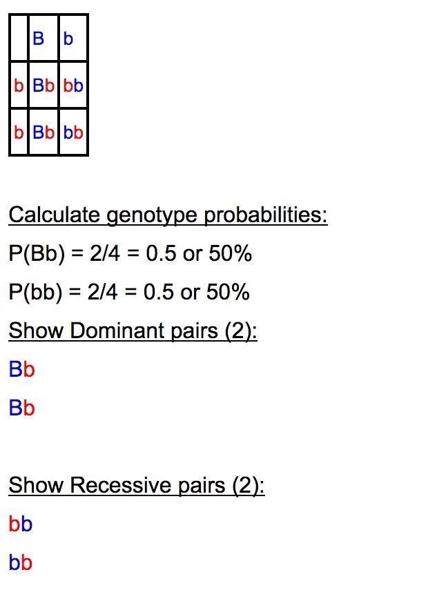 A woman that is homozygous recessive (bb) for blue eyes and a man that is heterozygous-example-1