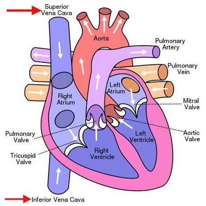 Another question answer please-example-1