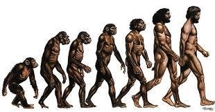 Who is Charles darwin? What were some of his contributions to the theory of evolution-example-2