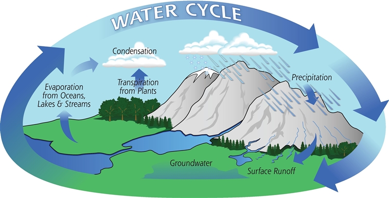 The recycling of water from the ground via runoff or transpiration through plants-example-1