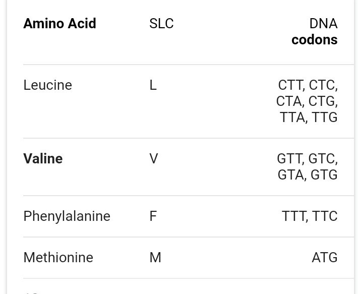 Which condom is the code for amino acid valine-example-1