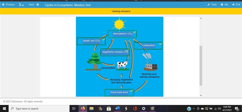 Identify the remaining processes and components of the carbon cycle.-example-1