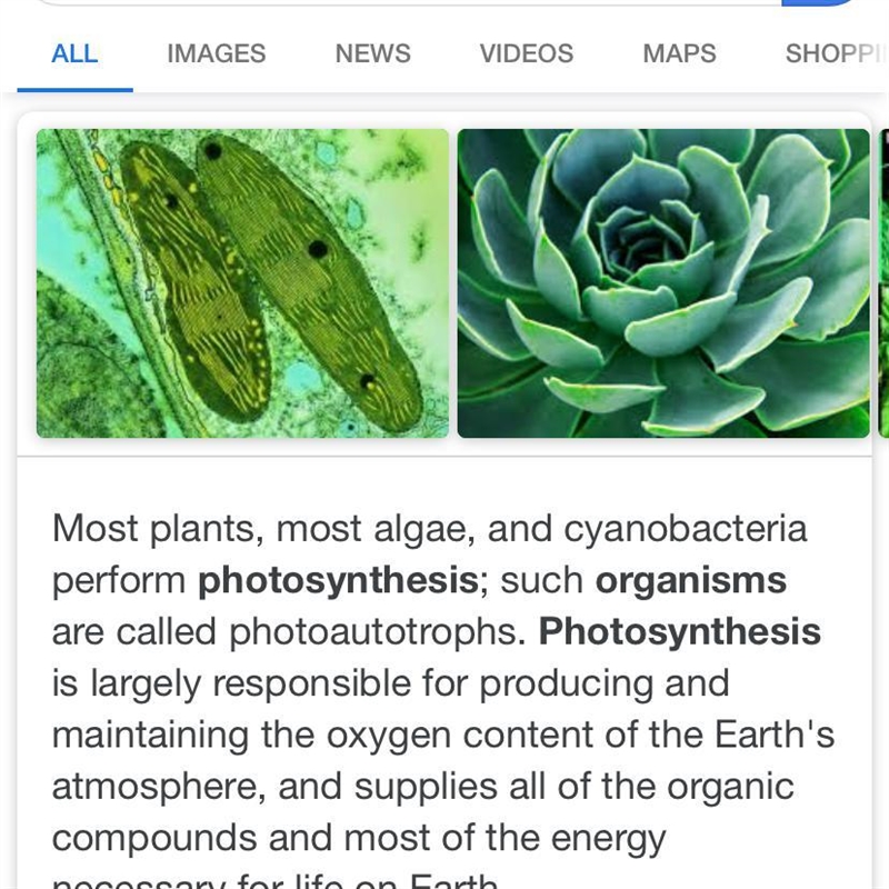 Which kinds of organisms use photosynthesis?-example-1