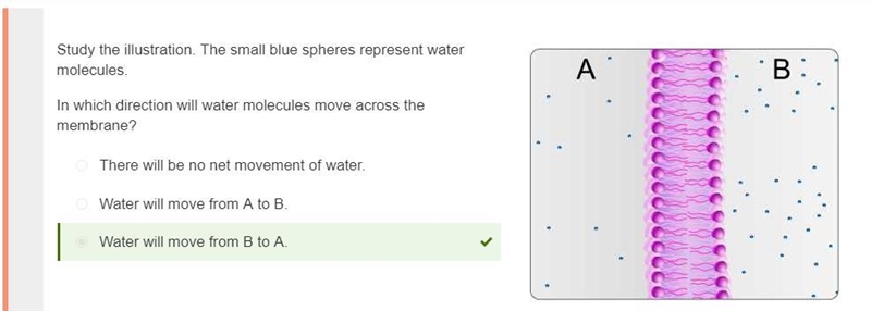 Study the illustration. The small blue spheres represent water molecules. In which-example-1