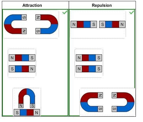 Drag each image to the correct location on the chart. Sort the images based on whether-example-1