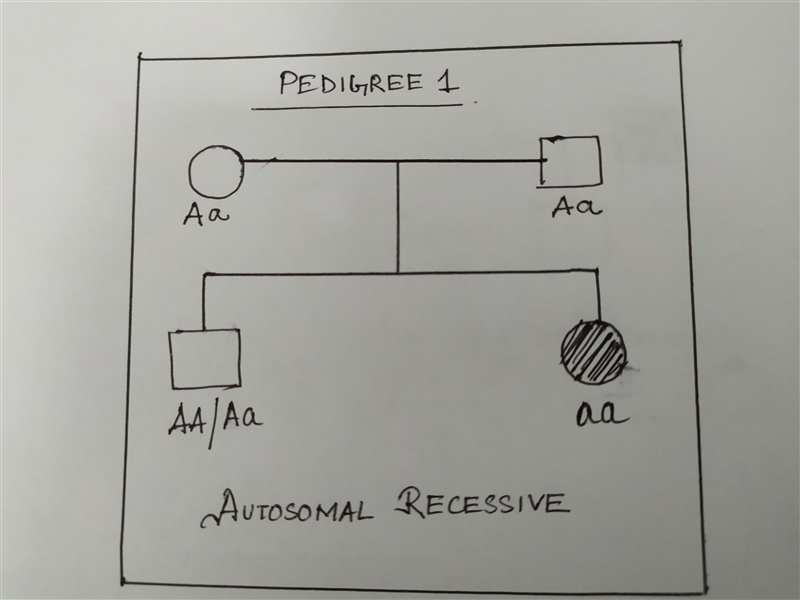 Match the pedigree to the correct type of inheritance.-example-2