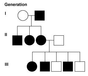 Refer to the family pedigree shown here. In generation I, one parent is affected by-example-1