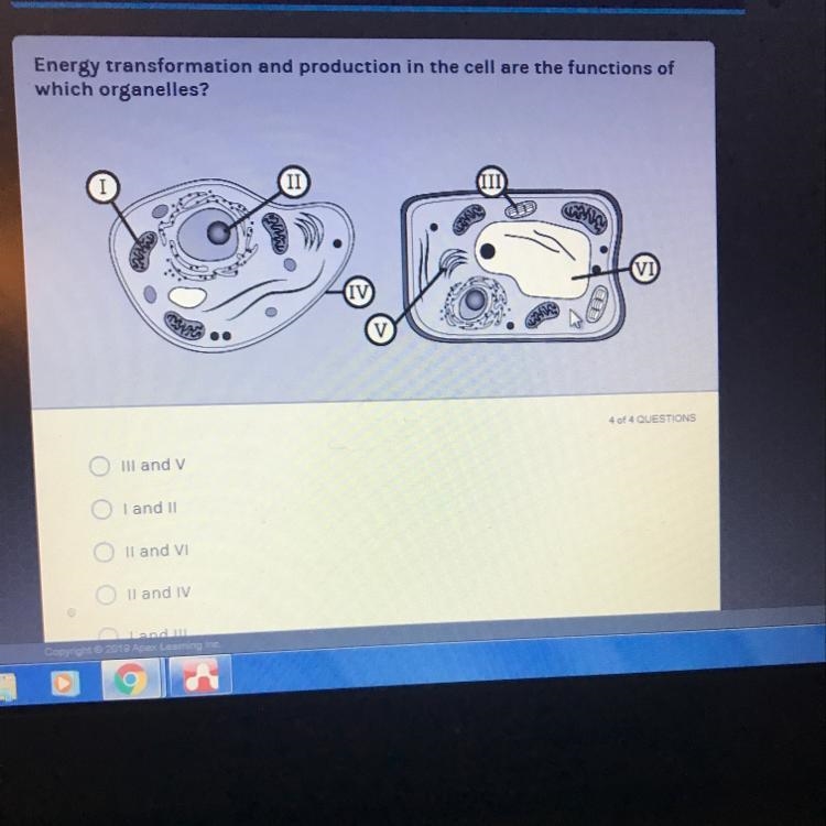 Keystone Biology TA TEST IT: Plant and Animal Cells Energy transformation and production-example-1