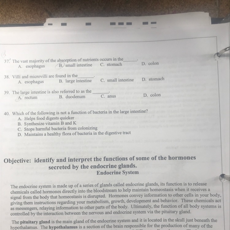 Please need help 37 to 40-example-1