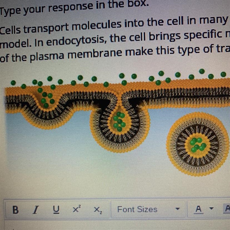 Cells transport molecules into the cell in many different ways. One method is through-example-1