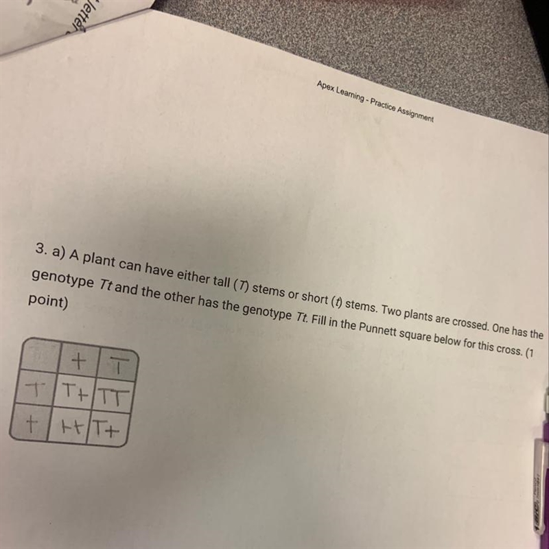 What is the phenotype ratio for this cross-example-1