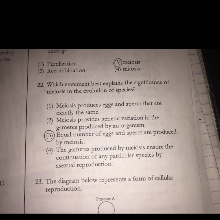 Why is 2 the correct answer to number 22 ? Explain why and please answer this !!-example-1