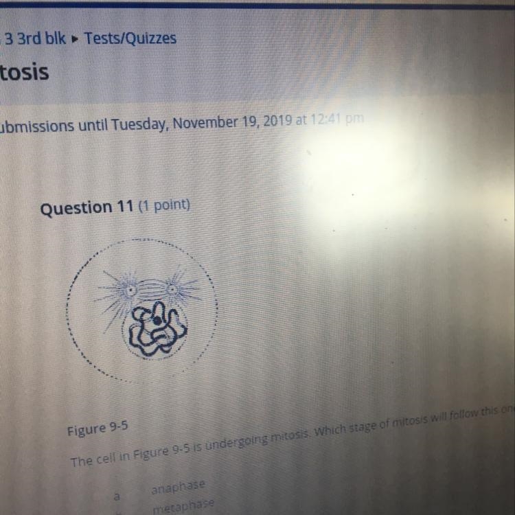 Mitosis help plsssss-example-1