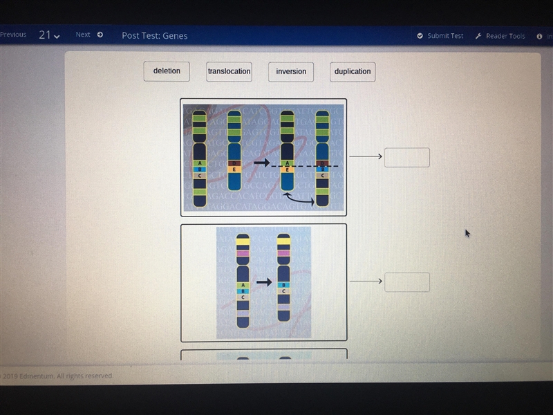 Match the sequences with the mutations that occurred in them.-example-1