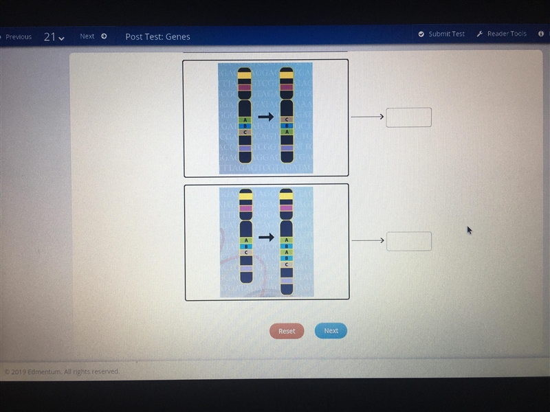 Match the sequences with the mutations that occurred in them.-example-2