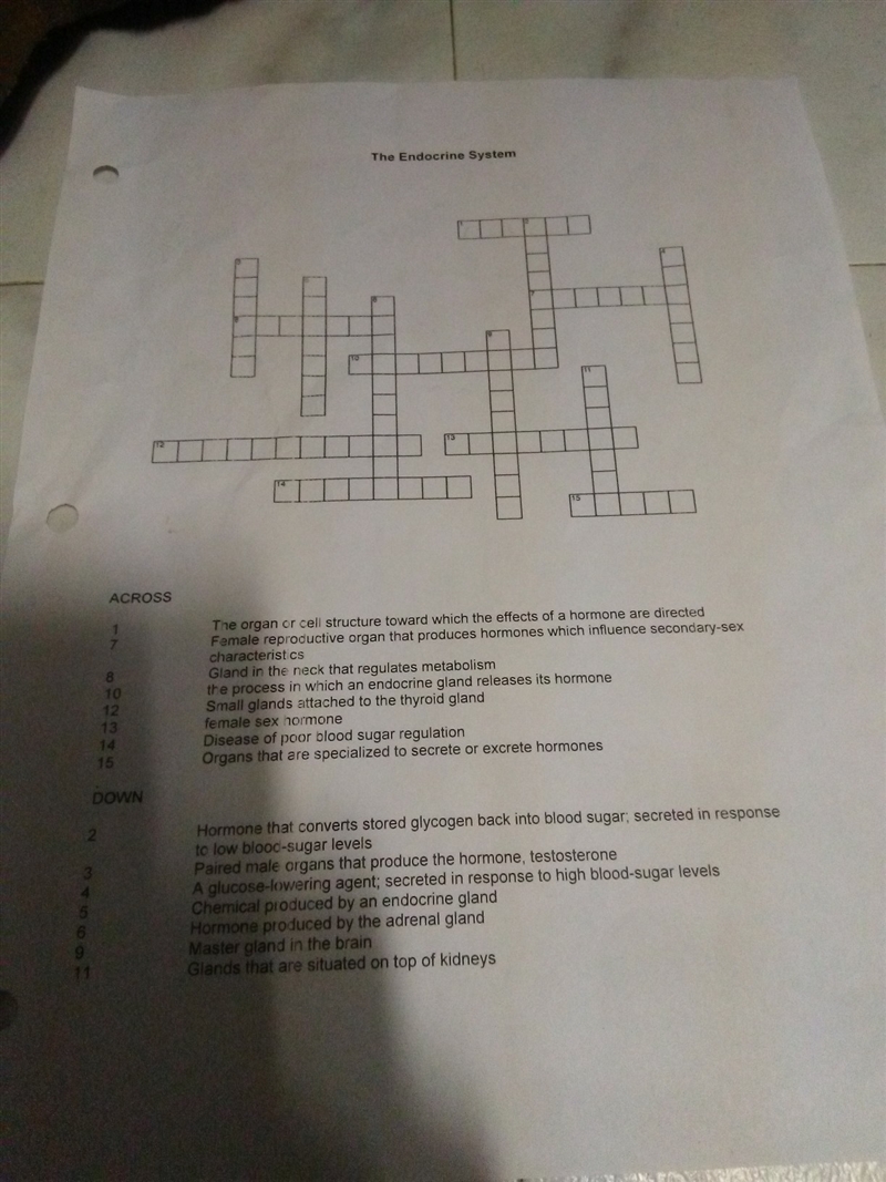 Please help me with biology Endocrine system crossword also image left I need help-example-1