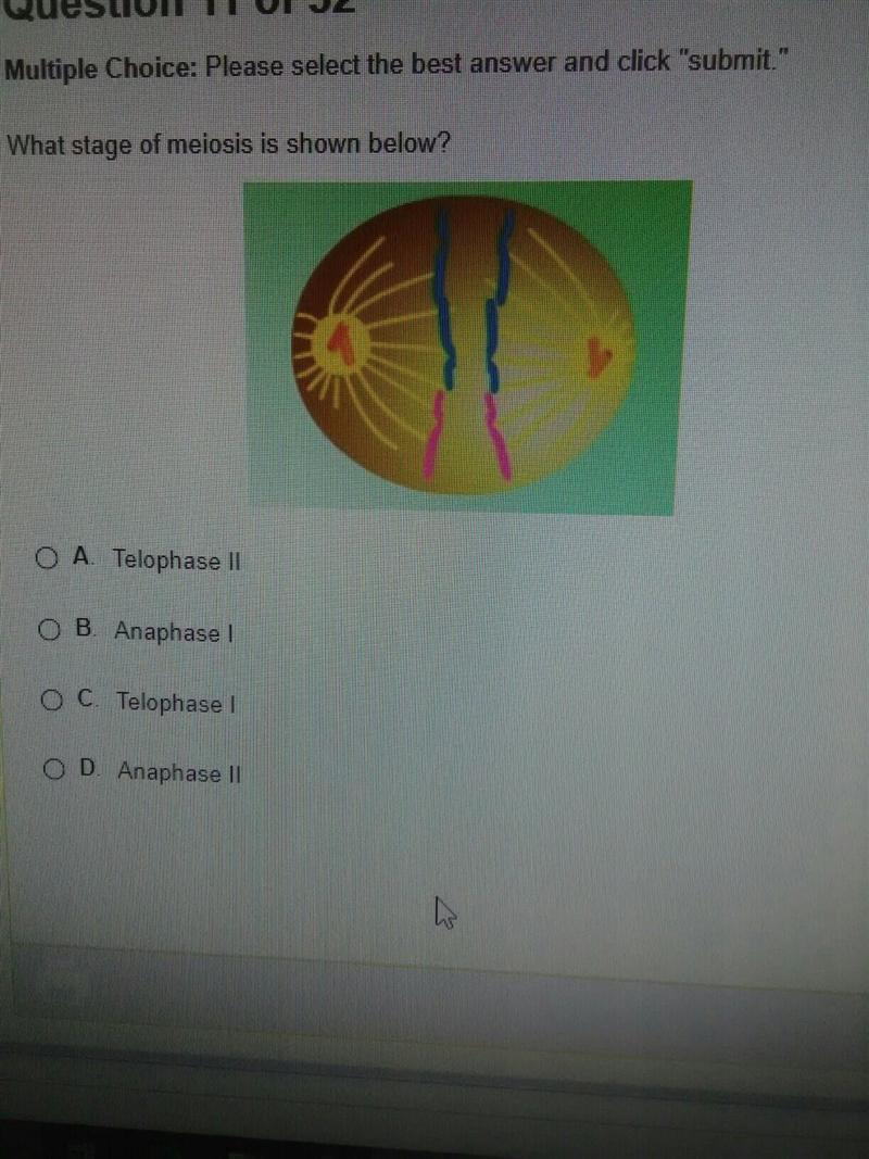 What stage of meiosis is shown below​-example-1