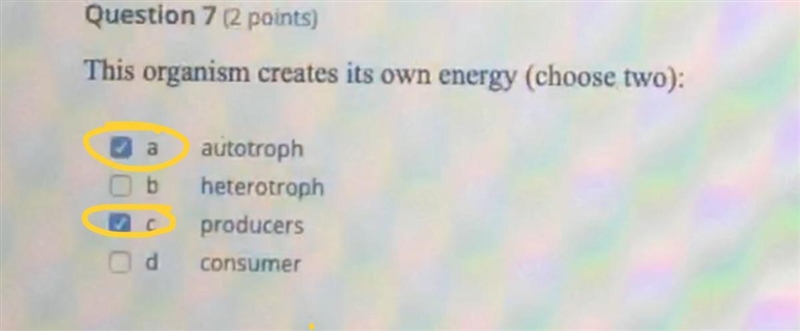 Need help on checking my answers! The ones circled in yellow are the ones that I believe-example-1