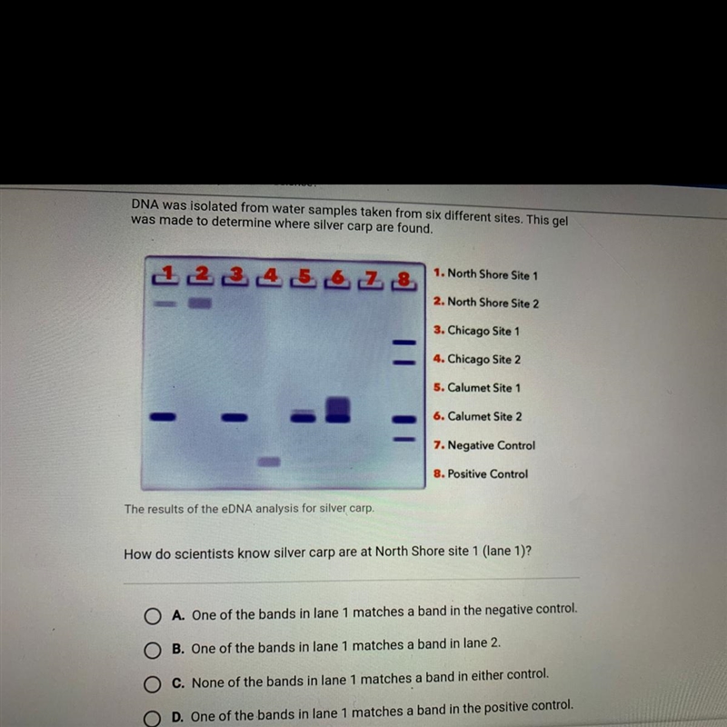 What is the answer ?-example-1